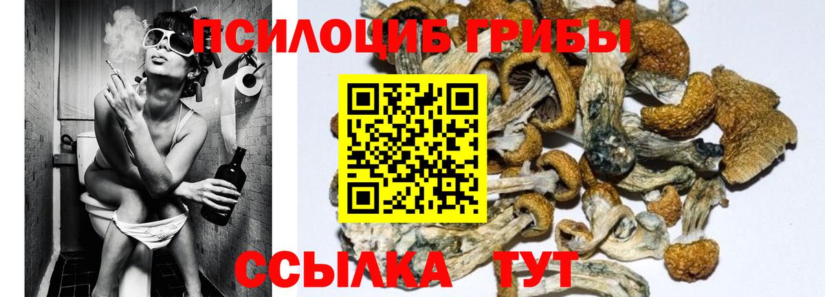 Клин  Псилоцибиновые грибы прущие грибы  Вход с VPN 